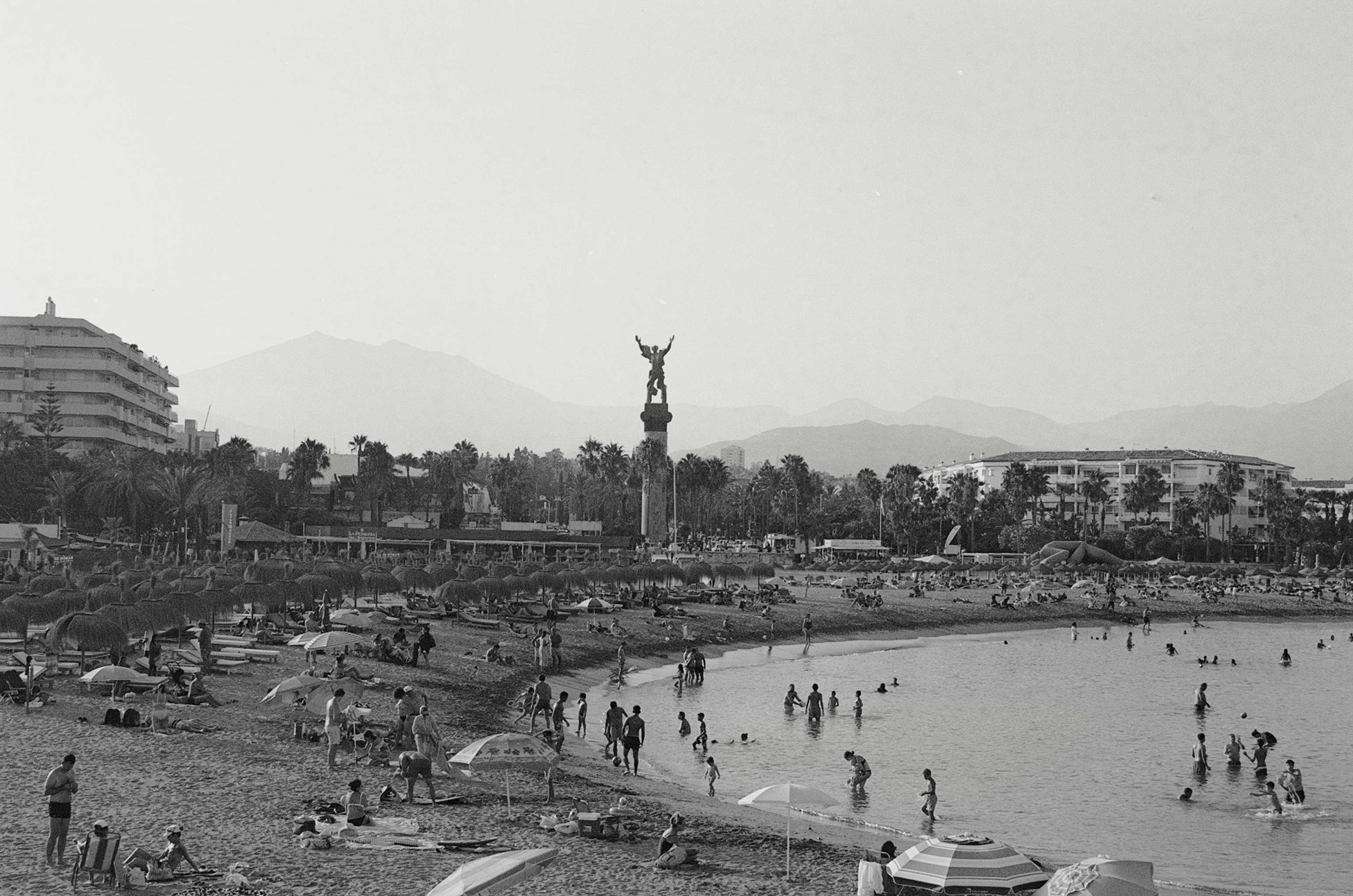 B&W Esquisse
